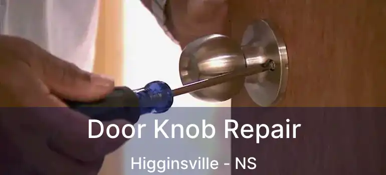  Door Knob Repair Higginsville - NS