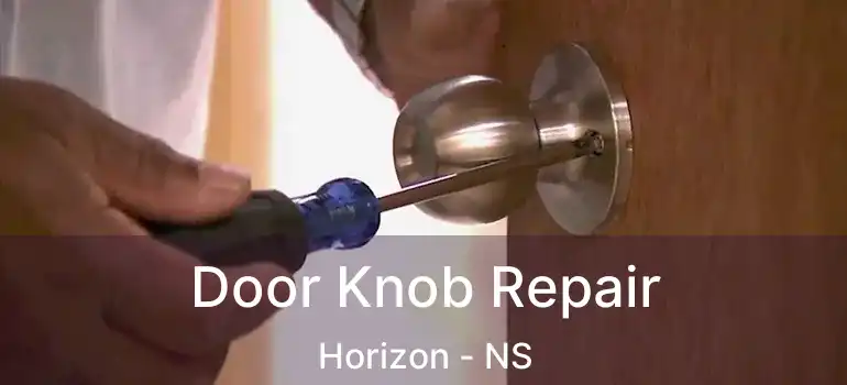  Door Knob Repair Horizon - NS