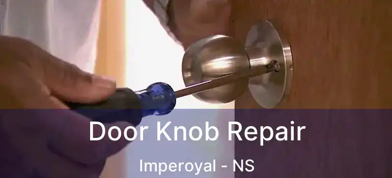  Door Knob Repair Imperoyal - NS