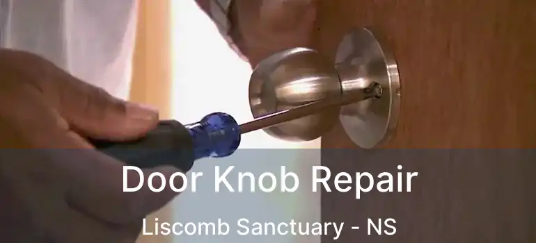  Door Knob Repair Liscomb Sanctuary - NS