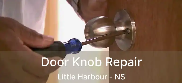  Door Knob Repair Little Harbour - NS