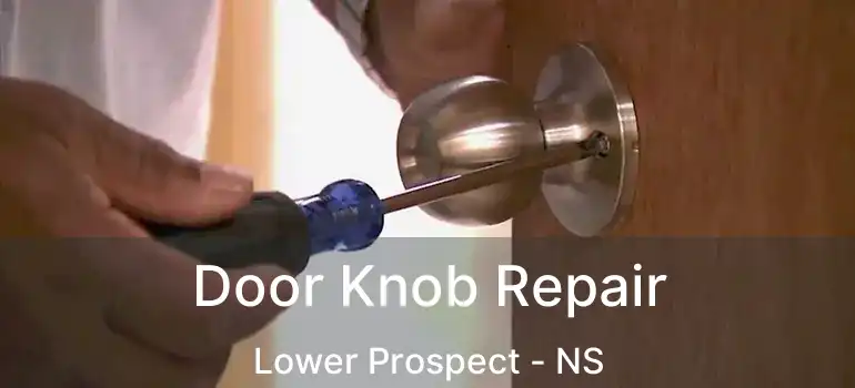  Door Knob Repair Lower Prospect - NS