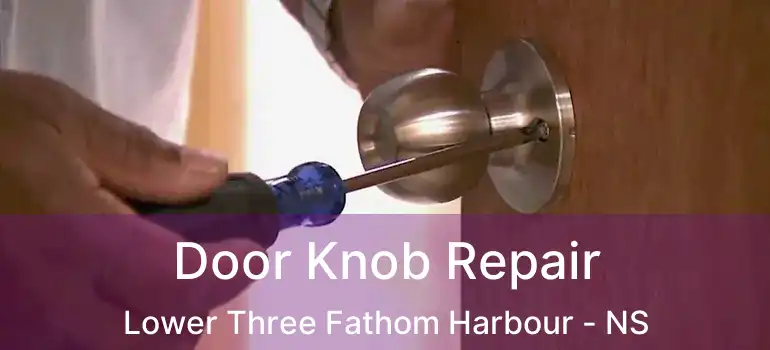  Door Knob Repair Lower Three Fathom Harbour - NS