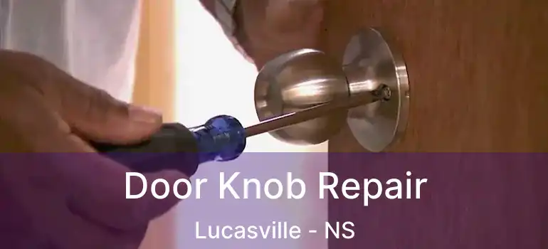  Door Knob Repair Lucasville - NS