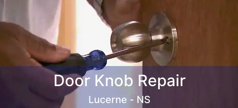  Door Knob Repair Lucerne - NS