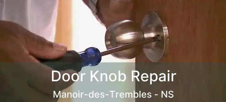  Door Knob Repair Manoir-des-Trembles - NS