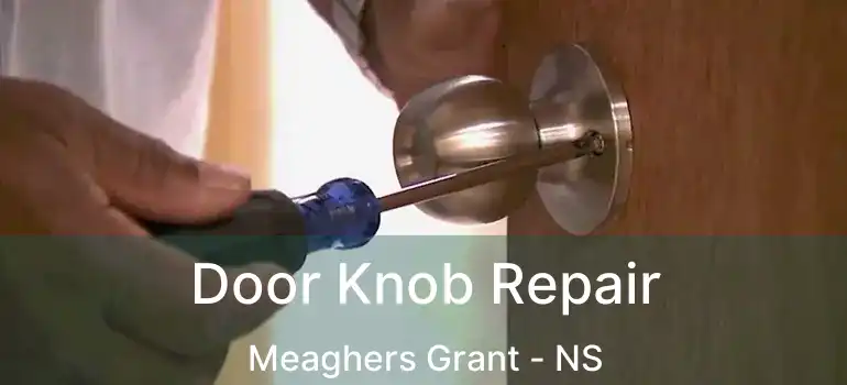  Door Knob Repair Meaghers Grant - NS