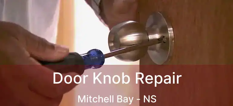  Door Knob Repair Mitchell Bay - NS