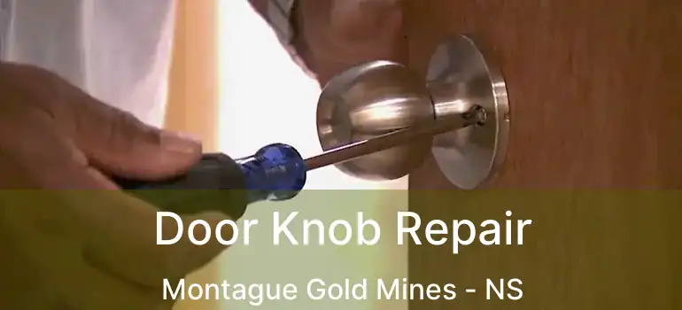  Door Knob Repair Montague Gold Mines - NS