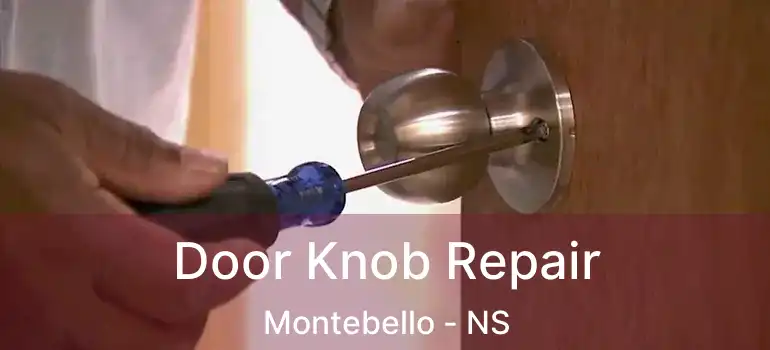  Door Knob Repair Montebello - NS