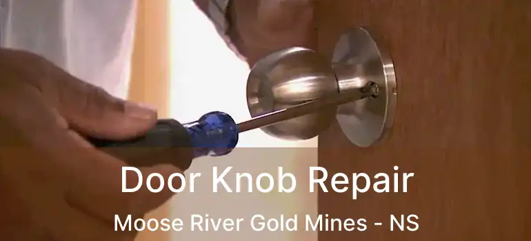  Door Knob Repair Moose River Gold Mines - NS