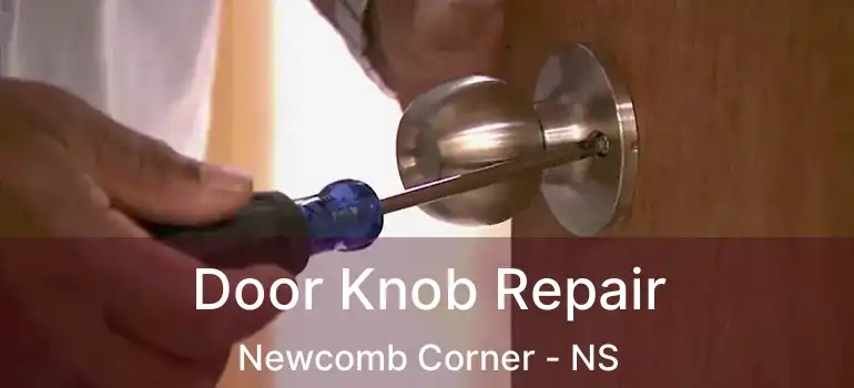  Door Knob Repair Newcomb Corner - NS