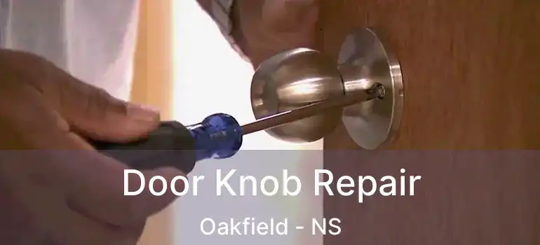  Door Knob Repair Oakfield - NS