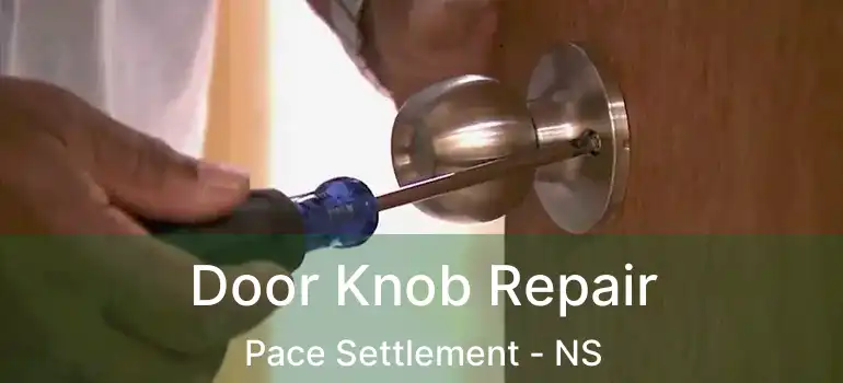  Door Knob Repair Pace Settlement - NS