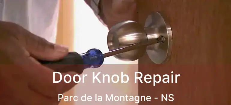  Door Knob Repair Parc de la Montagne - NS