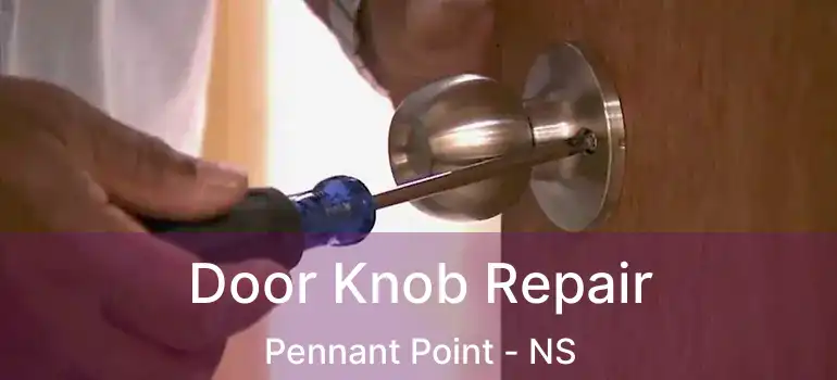  Door Knob Repair Pennant Point - NS