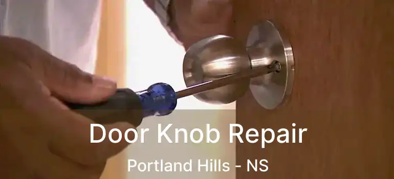  Door Knob Repair Portland Hills - NS