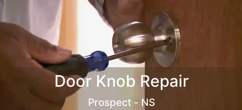  Door Knob Repair Prospect - NS