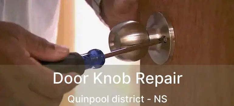  Door Knob Repair Quinpool district - NS