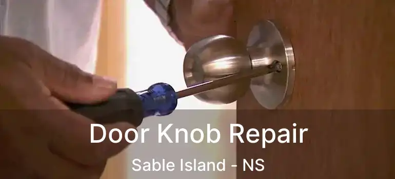  Door Knob Repair Sable Island - NS