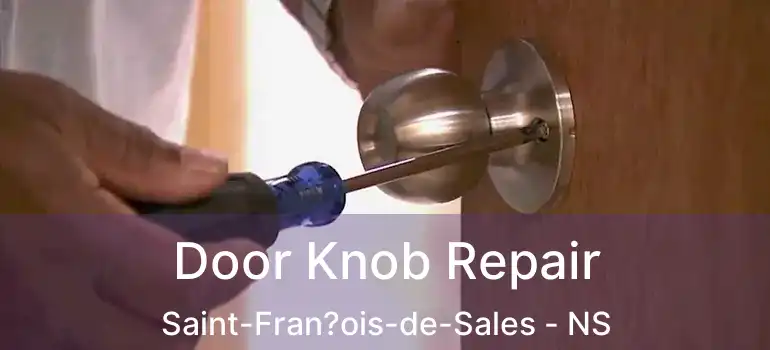  Door Knob Repair Saint-Fran?ois-de-Sales - NS