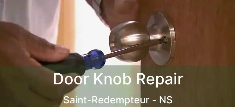  Door Knob Repair Saint-Redempteur - NS