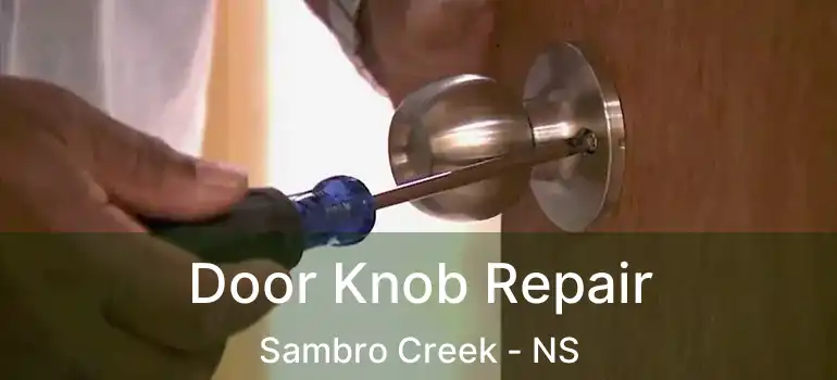  Door Knob Repair Sambro Creek - NS