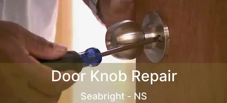  Door Knob Repair Seabright - NS