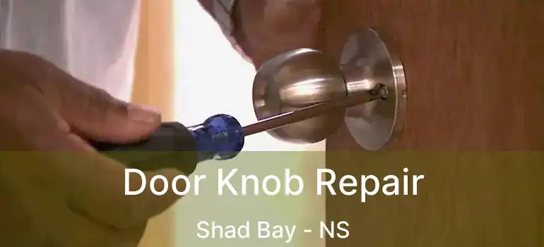  Door Knob Repair Shad Bay - NS