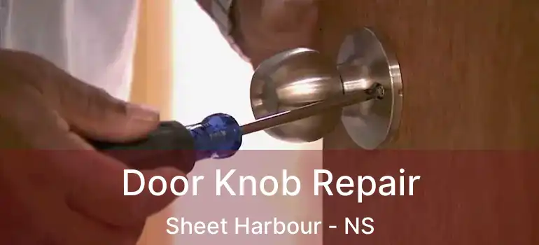  Door Knob Repair Sheet Harbour - NS