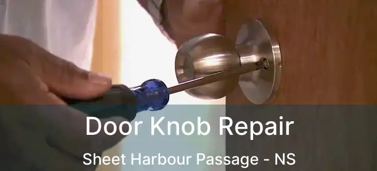  Door Knob Repair Sheet Harbour Passage - NS