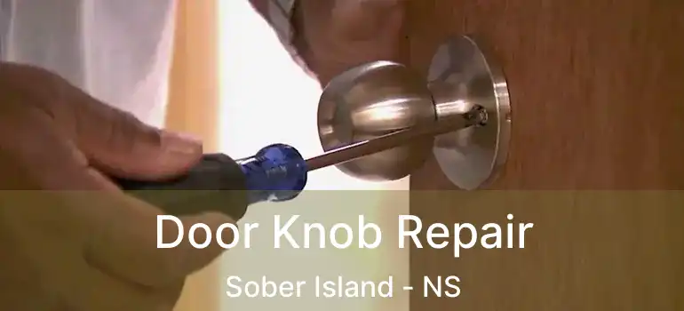  Door Knob Repair Sober Island - NS