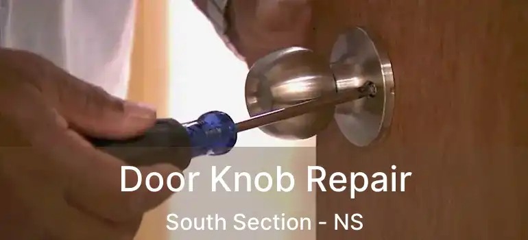  Door Knob Repair South Section - NS