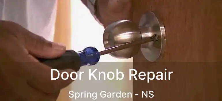  Door Knob Repair Spring Garden - NS