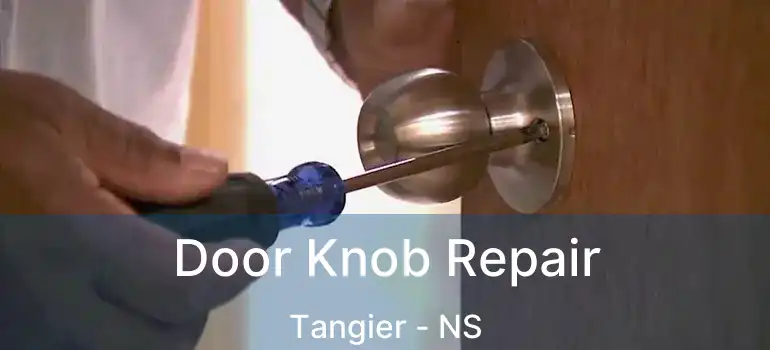  Door Knob Repair Tangier - NS