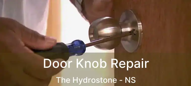  Door Knob Repair The Hydrostone - NS