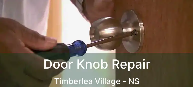  Door Knob Repair Timberlea Village - NS