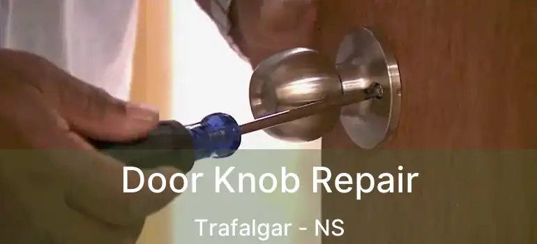  Door Knob Repair Trafalgar - NS