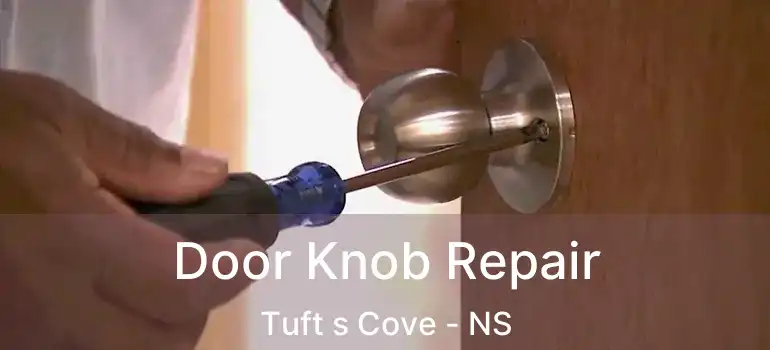  Door Knob Repair Tuft s Cove - NS