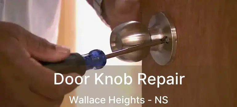  Door Knob Repair Wallace Heights - NS