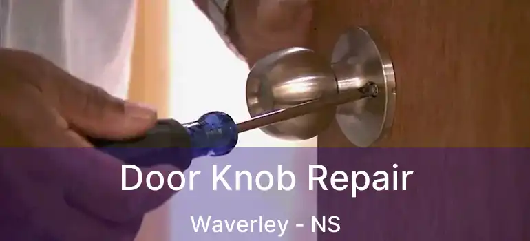  Door Knob Repair Waverley - NS