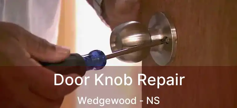  Door Knob Repair Wedgewood - NS