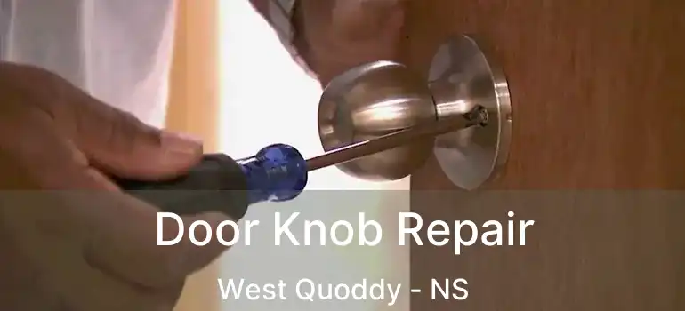  Door Knob Repair West Quoddy - NS