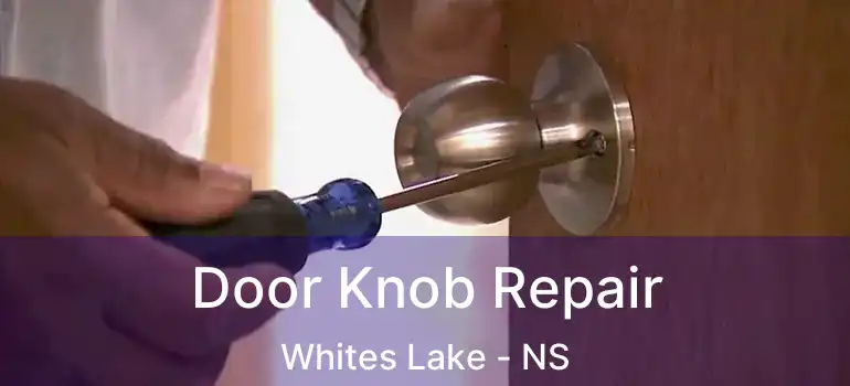  Door Knob Repair Whites Lake - NS