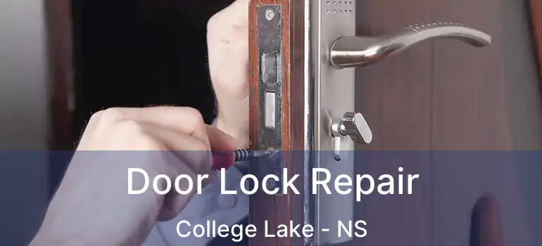  Door Lock Repair College Lake - NS