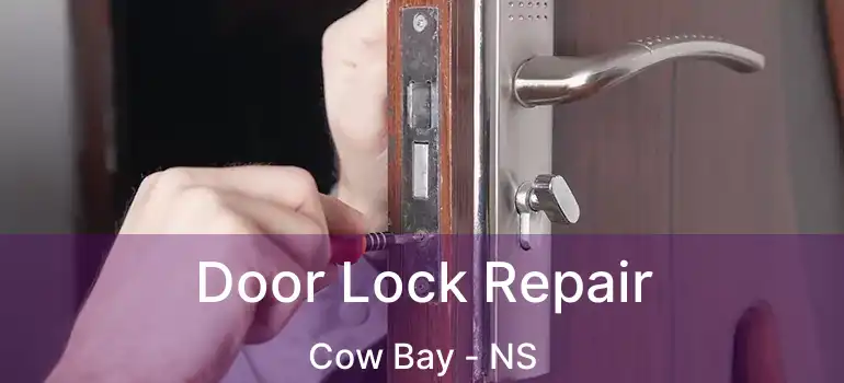  Door Lock Repair Cow Bay - NS