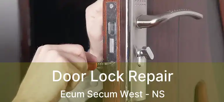  Door Lock Repair Ecum Secum West - NS