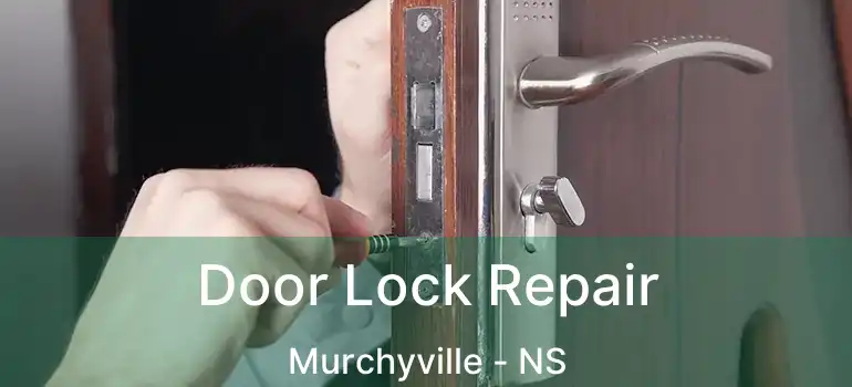  Door Lock Repair Murchyville - NS