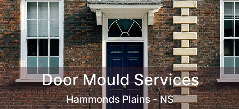  Door Mould Services Hammonds Plains - NS