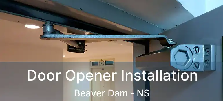  Door Opener Installation Beaver Dam - NS